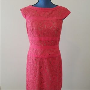 Adrianna Papell Coral Lace Cap Sleeve Dress Size 6